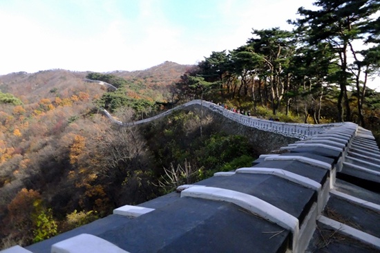 오래된 소나무들이 초병처럼 지키고 서있는 남한산성 성곽길. 