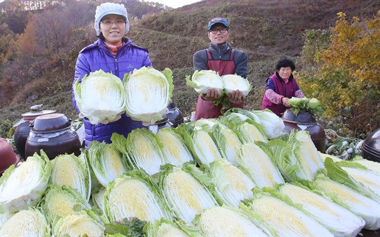 함양 백전면 운산리 중기마을에 귀농한 하인식(53)씨 부부가 절임배추를 만들고 있다.
