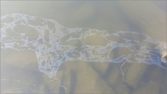 충남 부여군 현북양수장 근처에서는 200미터 가까운 기름띠가 발견됐다. 