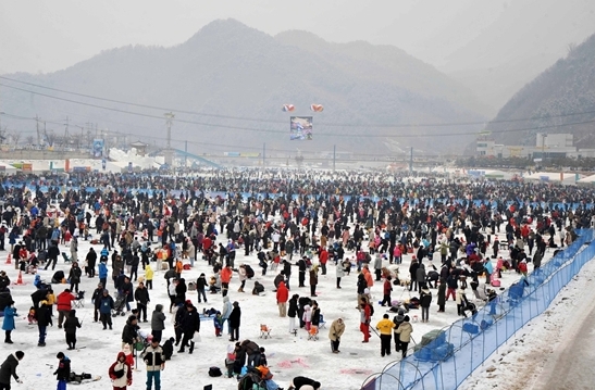 산천어축제. 20여일 축제기간 동안 130만 명의 관광객이 찾는다. 