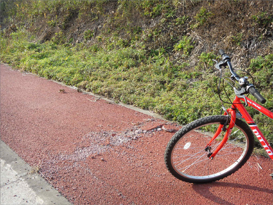 자전거길 곳곳이 이처럼 파손되어 있다. 자칫 한눈을 팔다가는 넘어져 부상당할 위험이 있다.