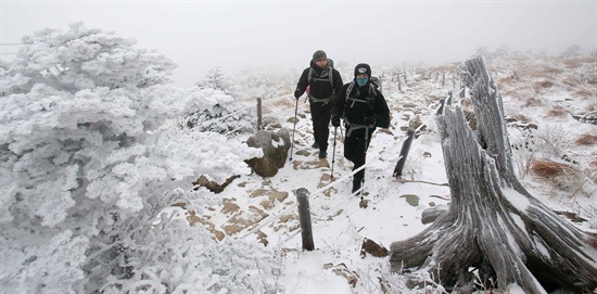  18일 오전 지리산 제석봉 눈 세상.