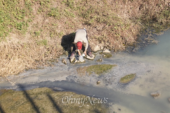 대망천과 낙동강이 만나는 지점인 원동제1수문 하류에서 정수근 대구환경운동연합 국장이 지난 10월 25일 오후 오염된 물을 체취하고 있다.