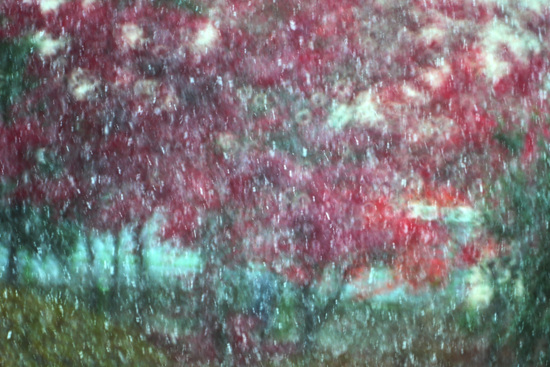 아직 남은 가을단풍나무의 붉은 빛에 하얀 눈이 채색을 하듯 내린다.