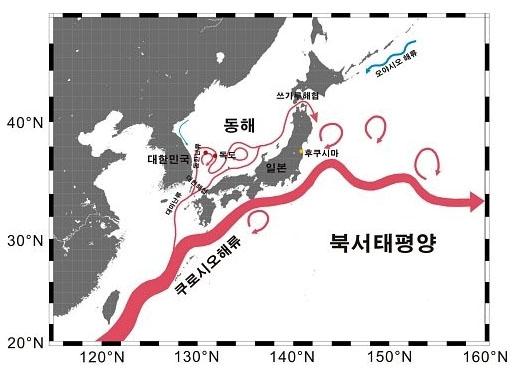 2011년 3월 11일 일본에서 후쿠시마 원전 사고가 발생해 방사능 해양 오염에 대한 우려가 커지자 국립해양조사원은 쿠로시오 해류의 흐름을 근거로 한국에는 영향이 없다고 밝혔다.