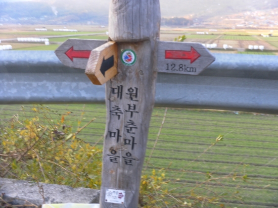 길안내 장승  대축마을 입구에 서 있었다