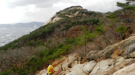 솔밭 향림담으로 가는 길. 멀리 나무들 사이로 솔밭 풍경이 보인다. 산 속 유일한 평지인 솔밭.