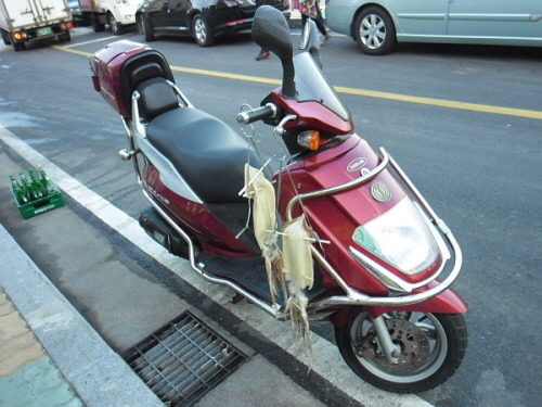  오토바이 오징어. 오토바이에 걸려 있는 오징어의 모습이 흥미롭다.
