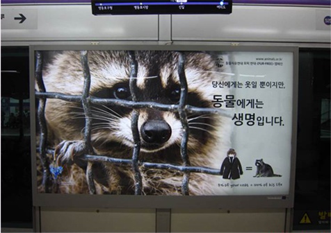 동물자유연대는 모피로 인한 동물의 고통을 중단하기 위한 Fur Free 캠페인을 벌이고 있다. 