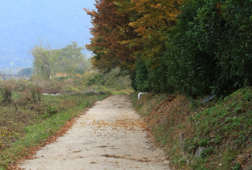  도로변을 따라 이어지는 오솔길. 순천 과거관문길은 천변길과 마을길, 숲길을 지나 한양으로 간다. 