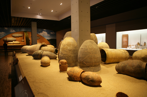 국립나주박물관에 전시돼 있는 옹관들. 영산강유역에서 옹관을 많이 사용했다는 것을 보여주는 유물이다.