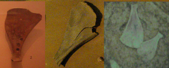      사진 맨 왼쪽이 한반도에서 발견된 것으로 국립중앙박물관에 있는 점치는 뼈이고 한 가운데는 시베리아 바이칼 호수 부근 박물관에 있는 것이고, 맨 오른쪽 사진은 이키섬 하루노츠지 유적에서 발견된 동물뼈입니다. 