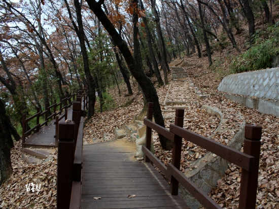 경남 진주시 비봉산은 나무로 만든 산책길이 최근 만들어져 있다. 산책로 주위로 야외 헬스기구와 긴 의자 등의 편의시설이 있다. 산책로가 잘 정비되어 올라가기 쉽다. 