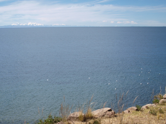 호수 주변에서바라본 티티카카. (2011년 6월 사진)