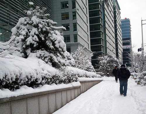 서울 구로구 일대에 눈이 내린 모습 