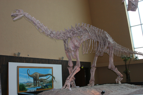 공룡 뼈 모형
