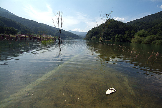 2012년 9월 4대강 중전지구 생태공원이 물에 잠겼다.