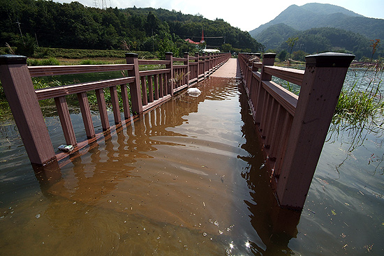 2012년 9월 4대강 생태공원 중전지구가 물에 잠겼다.