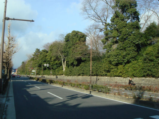 　　서쪽 가라스마토오리에서 바라본 교토교엔입니다. 