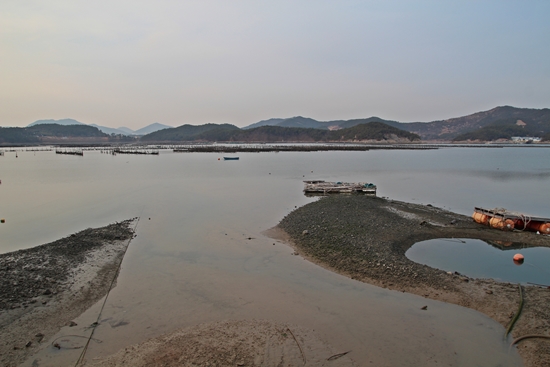  돌산도 굴전마을 앞 바다의 굴 종패장이다.
