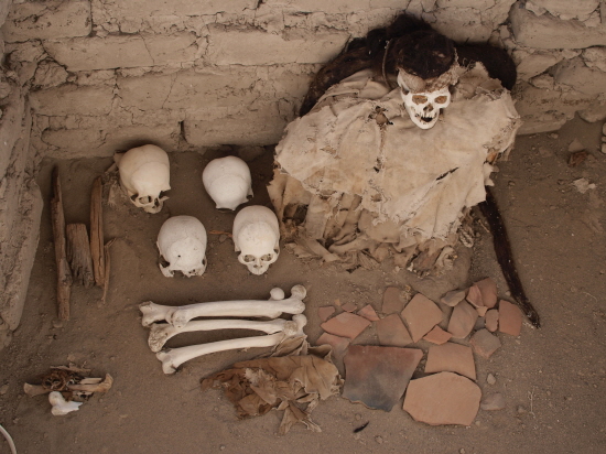 코카잎의 마취효과로 뇌수술을 한 잉카시대의 미라. (2011년 5월 사진)