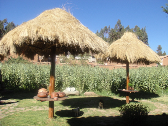 페루의 시골마을 풍경. (2011년 5월 사진)