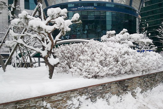 지난 겨울 서울 구로구 일대에 눈이 쌓인 모습 ⓒ온케이웨더 박선주 기자
