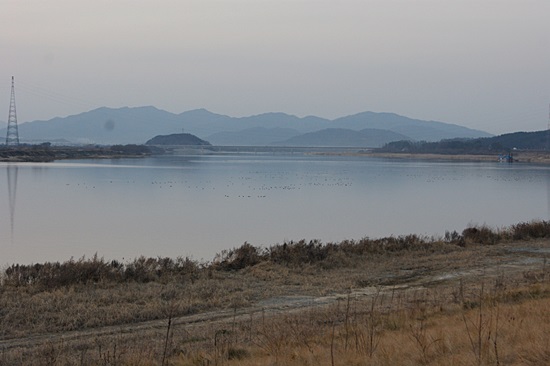 4대강사업 후 드넓은 호수로 변해버린 해평습지. 철새가 사라진 해평습의 황량한 모습이다. 2012년 12월.