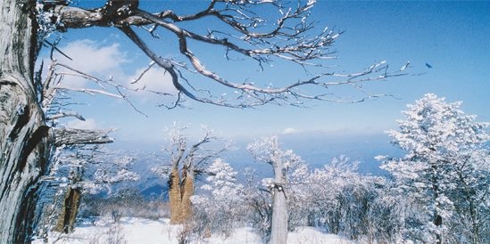  한 폭의 그림 같은 태백산 전경 ⓒ태백산축제위원회
