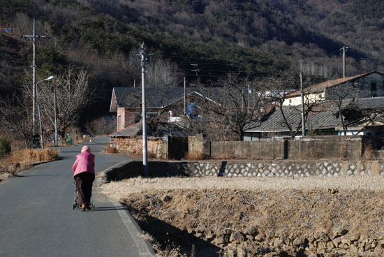 송전탑 건설을 반대하는 어르신이 유모차에 의지해 농로를 걷고 있다. 어르신 앞에 세워진 대여섯 개의 전봇대에서 뻗은 전깃줄이 시골 집 지붕에 얽히고설켜 있다.

