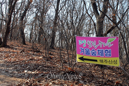  고양힐링누리길에서 '겨울숲' 체험을 위한 걷기행사가 열렸다. 