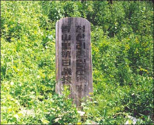 ‘청산리항일전적지’ 나무 비(1999. 8. 6.). 이 비목은 이제 지상에서 볼 수 없다.