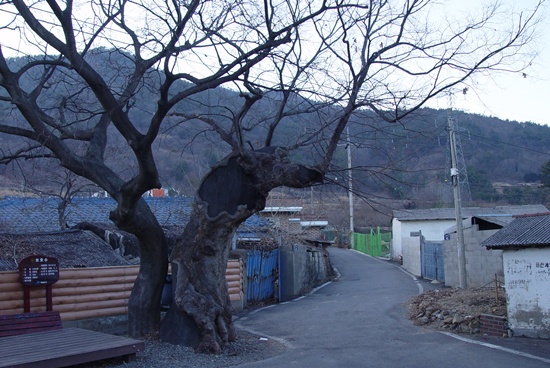봉두마을은 장흥 위 씨와 광산 김 씨가 모여 사는 집성촌으로 약 500여년된 유서 깊은 마을입니다. 
