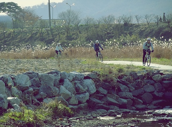 서울에서 경기도 과천까지 이어지는 개천길은 자전거 타고 달리기도 좋다. 