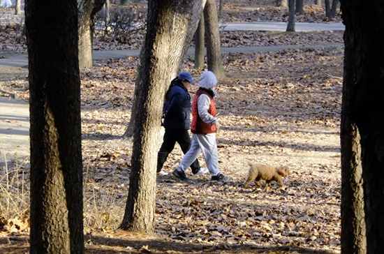 아름다운 숲 상을 받은 울창한 양재숲도 거닐기 좋다. 