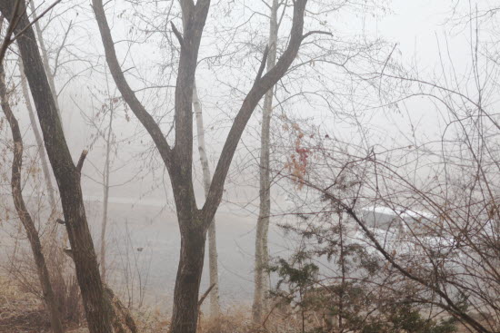 어제(1월 30일),  안개 짙은 헤이리의 아침