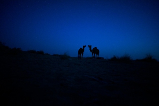 타르 사막의 밤. 