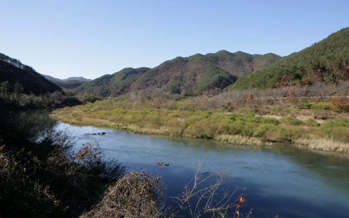 곡성 죽곡면 앞으로 흐르는 대황강 전경. 마을이야기책 '천년의 나무'의 배경이 된 곡성군 죽곡면이 이 강변에 자리하고 있다.