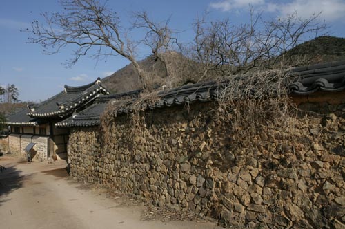 나주 도래마을 돌담과 고택. 풍산홍씨 집성촌으로 전통이 살아있는 마을이다.