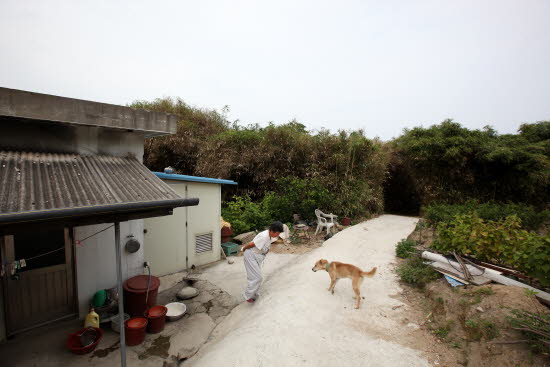 문막단 할머니의 유일한 친구  외로운 할머니의 벗 백구 