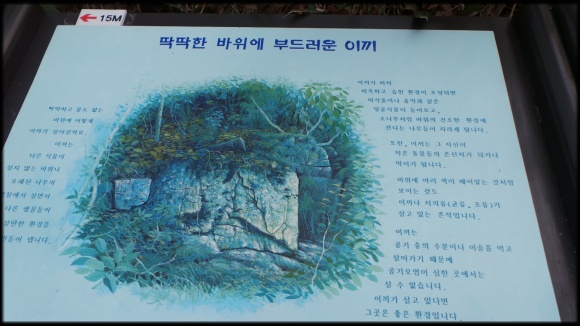 월출산 올라가는 길 