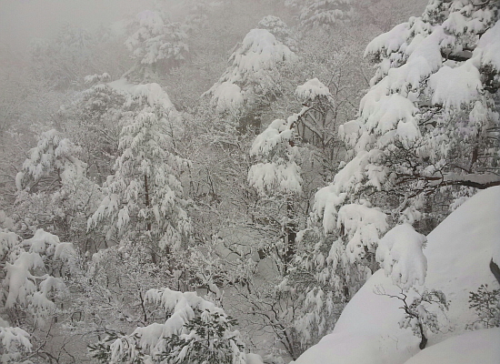  ‘양강·양간지풍(襄江·襄杆之風), 통고지설(通高之雪)’. 예부터 강원도 양양과 강릉, 양양과 간성 사이에는 바람이 유명하고 통천과 고성은 눈이 유명하다 해서 생겨난 말이다. 