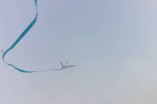     가오리 연이 하늘높이 날아 오릅니다.