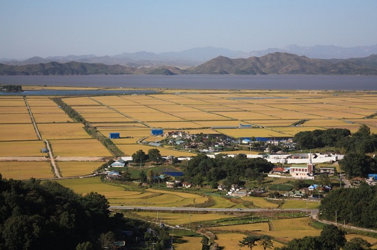 강화군 송해면과 양사면에서는 강 건너 북한이 빤히 바라보입니다. 