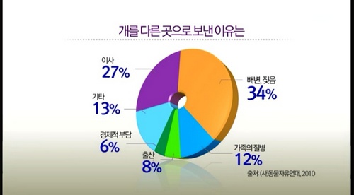  EBS 다큐 <하나뿐인 지구 "당신은 개를 키우면 안된다"> 화면 캡처