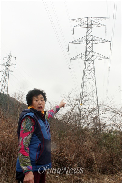 봉두마을 강옥순 할머니가 17일 마을을 지나는 송전선로와 송전탑을 가리키고 있다. 이곳은 박아무개씨가 벌을 키우다가 2004년 벌 유충이 녹아 내려 양봉업을 접은 곳이다. 박씨는 2009년 폐암 선고를 받고 치료를 해 현재는 완치 통보를 받은 상황이다.