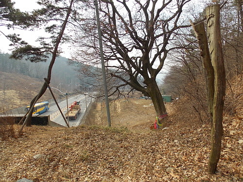 실제로 동학군들이 살육을 당한 곳은 우금티 고개 아래쪽이다. 사진에서 버스와 트럭이 다니는 곳이 바로 그곳이다.