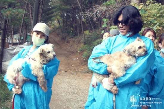  동물보호시민단체 카라(KARA)에서 공개한 이효리와 이상순의 유기견 보호소 봉사활동 모습. 
