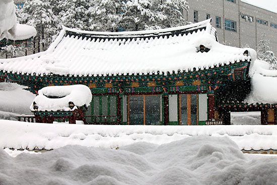 강릉 관아, 담장 높이까지 쌓인 눈(2014년 2월 18일).