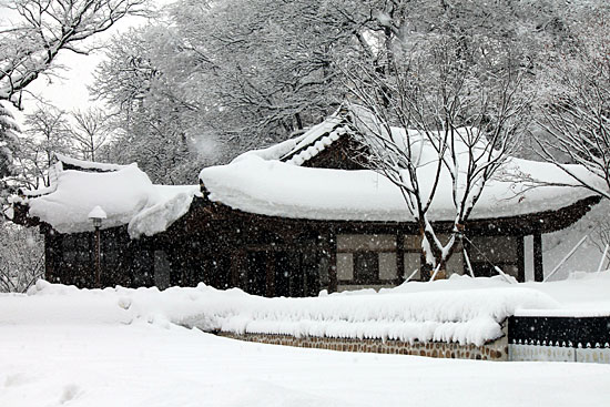 강릉 칠사당, 눈 덮인 지붕과 나뭇가지의 하얀 눈꽃이 멋진 조화를 이루고 있는 풍경(2014년 2월 18일).